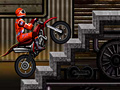 Lalao Blend Rider 
