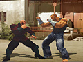 Lalao The Perfect Fighter