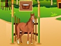 Lalao Horse Care Apprenticship