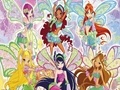 Lalao Winx Finding Numbers
