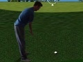 Lalao Flash Golf 3D