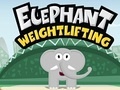 Lalao Elephant Weight Lifting