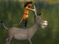 Lalao Travel cat and a donkey