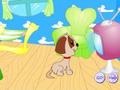 Lalao Puppy Star Dog House
