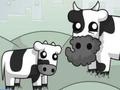 Lalao Cowlorful