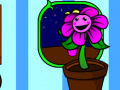 Lalao My pocket plant 