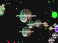 Lalao Gota. io 
