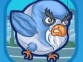 Lalao Pigeon Bomber 