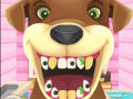 Lalao Animal Dentist 