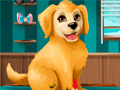 Lalao Become a Puppy Groomer