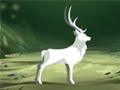 Lalao Purify the Last Forest