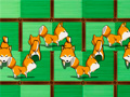 Lalao Shiba rescue : dogs and puppies
