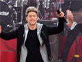Lalao Niall Horan: Spot The Differences