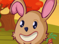 Lalao Veggi Rabbit