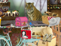 Lalao The amazing Animal Circus