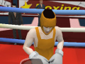 Lalao Summer Sports: Boxing