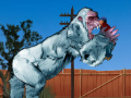 Lalao Yeti Rampage