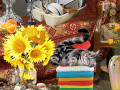 Lalao Crazy Cat Lady
