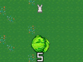 Lalao Cabbage Run
