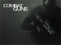 Lalao Combat Guns 3d