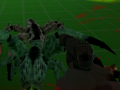 Lalao Spiders Arena 2