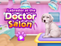 Lalao Labrador at the doctor salon    