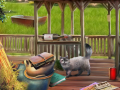 Lalao Backyard Makeover