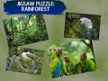 Lalao Jigsaw Puzzle Rain Forest 