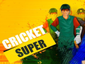 Lalao Super Cricket      