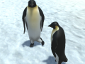 Lalao The littlest penguin