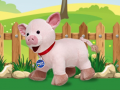 Lalao Catch The Pig