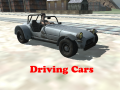 Lalao Driving Cars