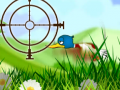 Lalao Quack Hunt