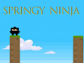 Lalao Springy Ninja