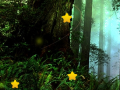 Lalao Hidden Stars