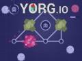 Lalao Yorg.io