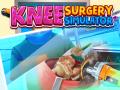Lalao Knee Surgery Simulator