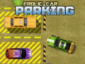 Lalao Frolic Car Parking 