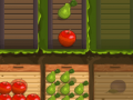 Lalao Fruit Gardener