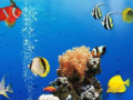 Lalao Sea Underwater Difference