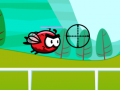 Lalao Shooting Birds