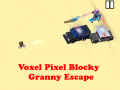 Lalao Voxel Pixel Blocky Granny Escape