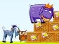 Lalao Donkey Sean