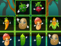 Lalao Vegetable Cards Match