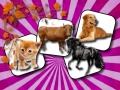 Lalao Domestic Animal Memory Challenge
