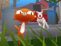 Lalao Cat Runner