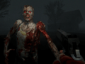 Lalao Slender Zombie Time
