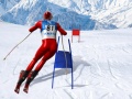 Lalao Slalom Ski Simulator
