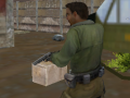 Lalao Urban Counter Terrorist Warfare