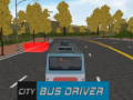 Lalao City Bus Driver  
